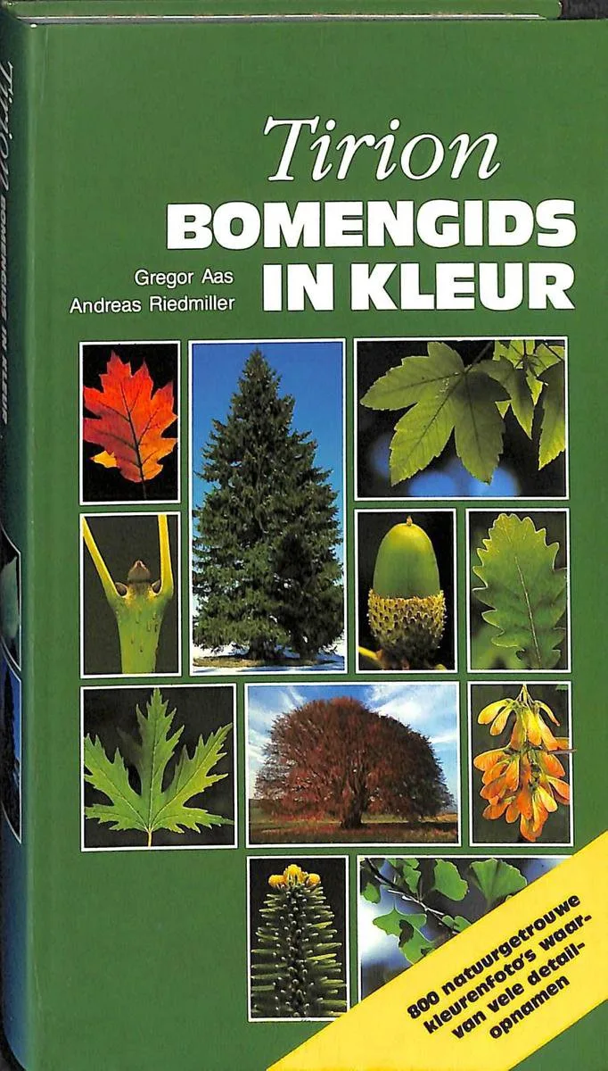 Bomengids in kleur fra VBK – billede af bogen