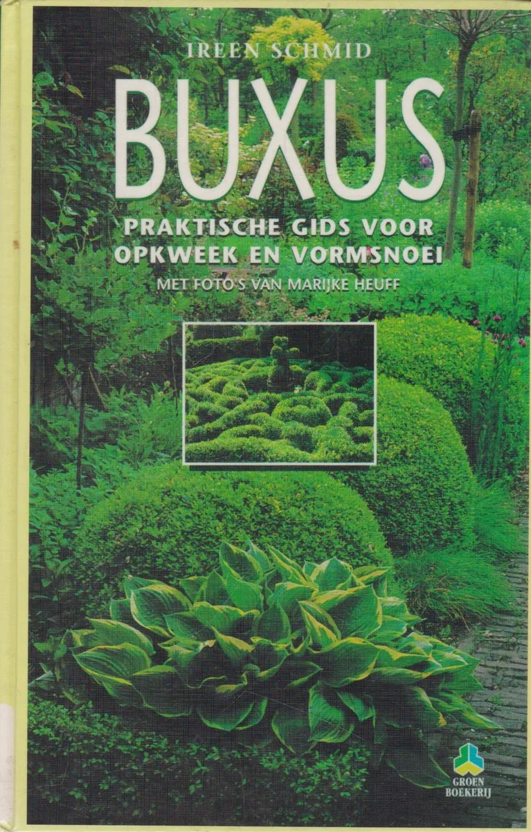 Buxus von VBK – Buchfoto