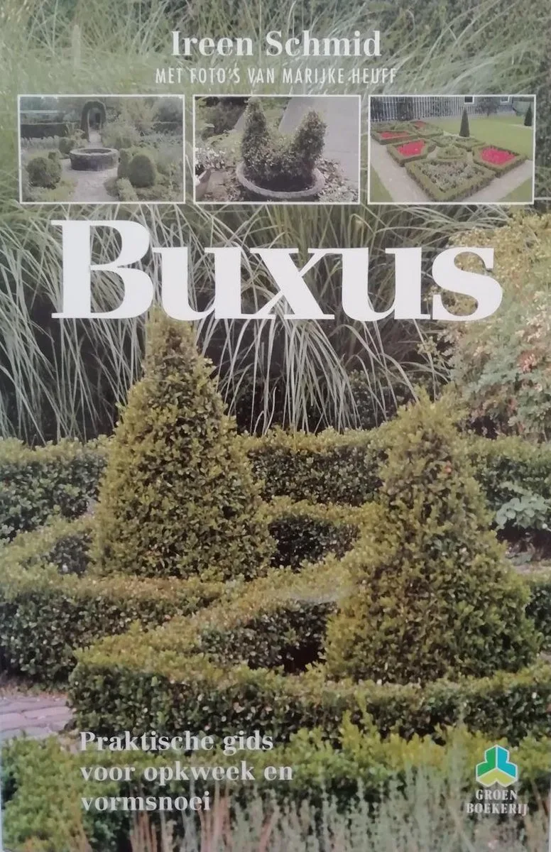 Buxus von VBK – Buchfoto