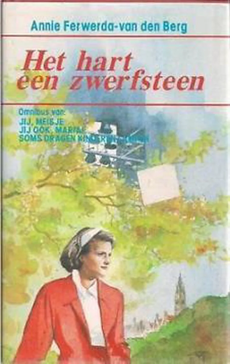 Het hart een zwerfsteen von VBK – Buchfoto