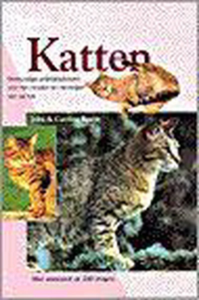 Katten van VBK – boekfoto
