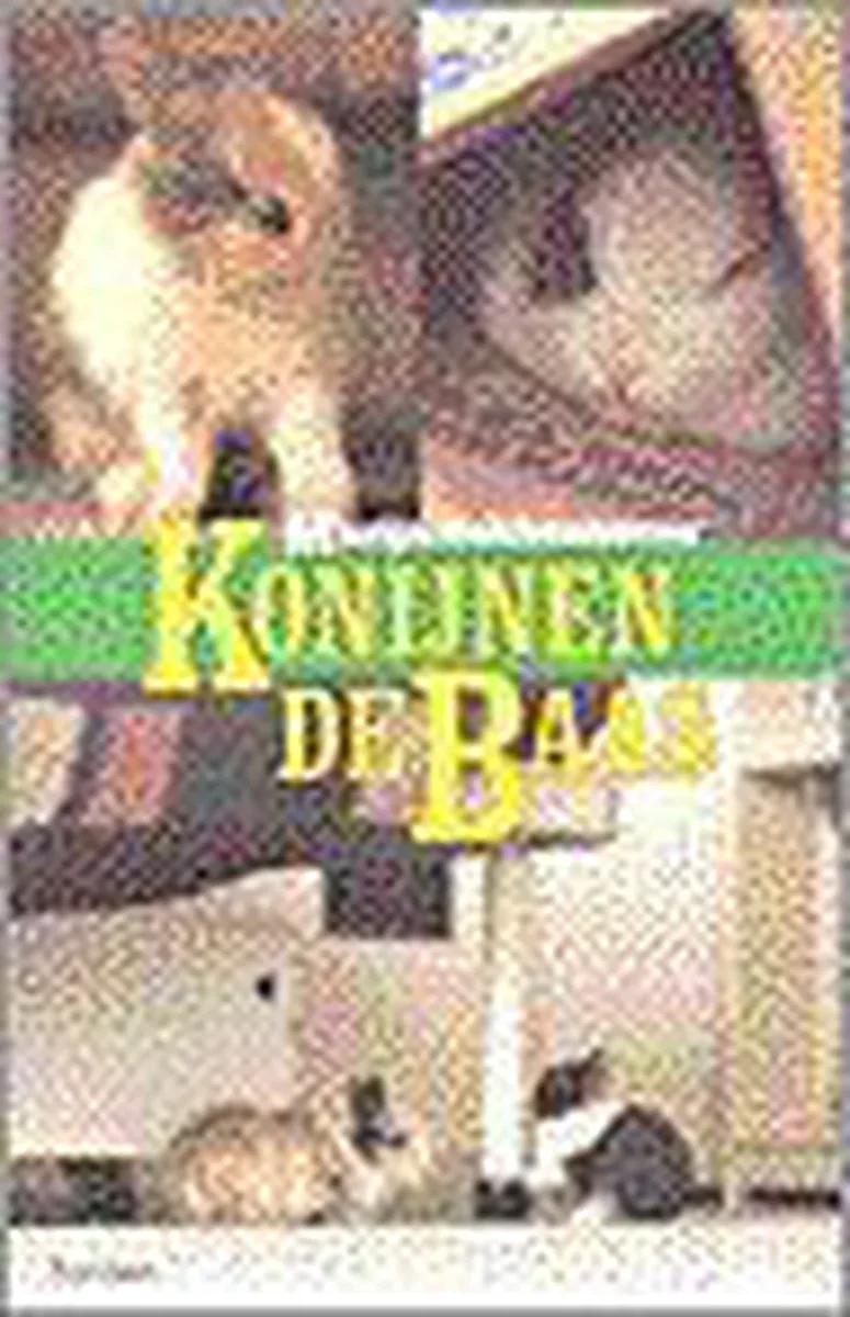 Konijnen de baas von VBK – Buchfoto