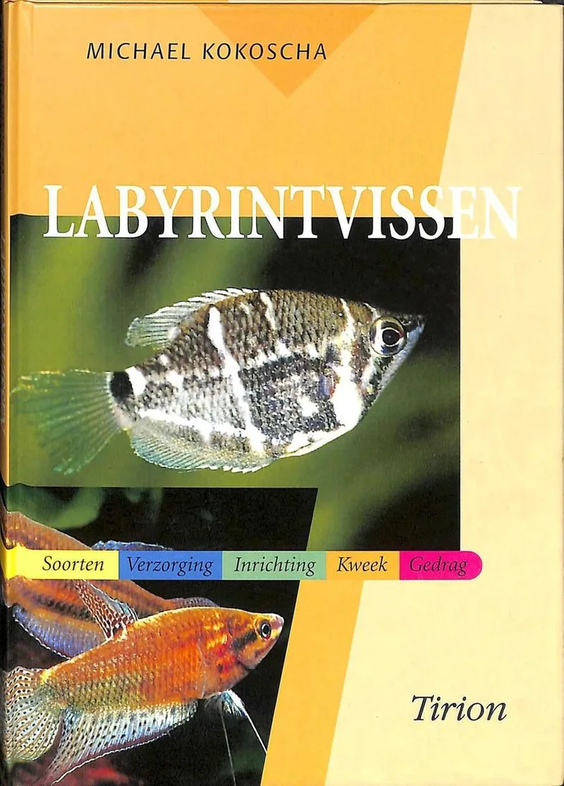 Labyrintvissen fra VBK – billede af bogen