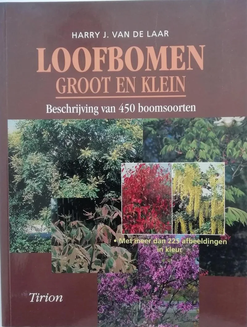 Loofbomen groot en klein von VBK – Buchfoto