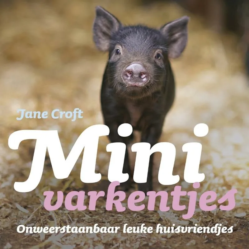 Minivarkentjes fra VBK – billede af bogen