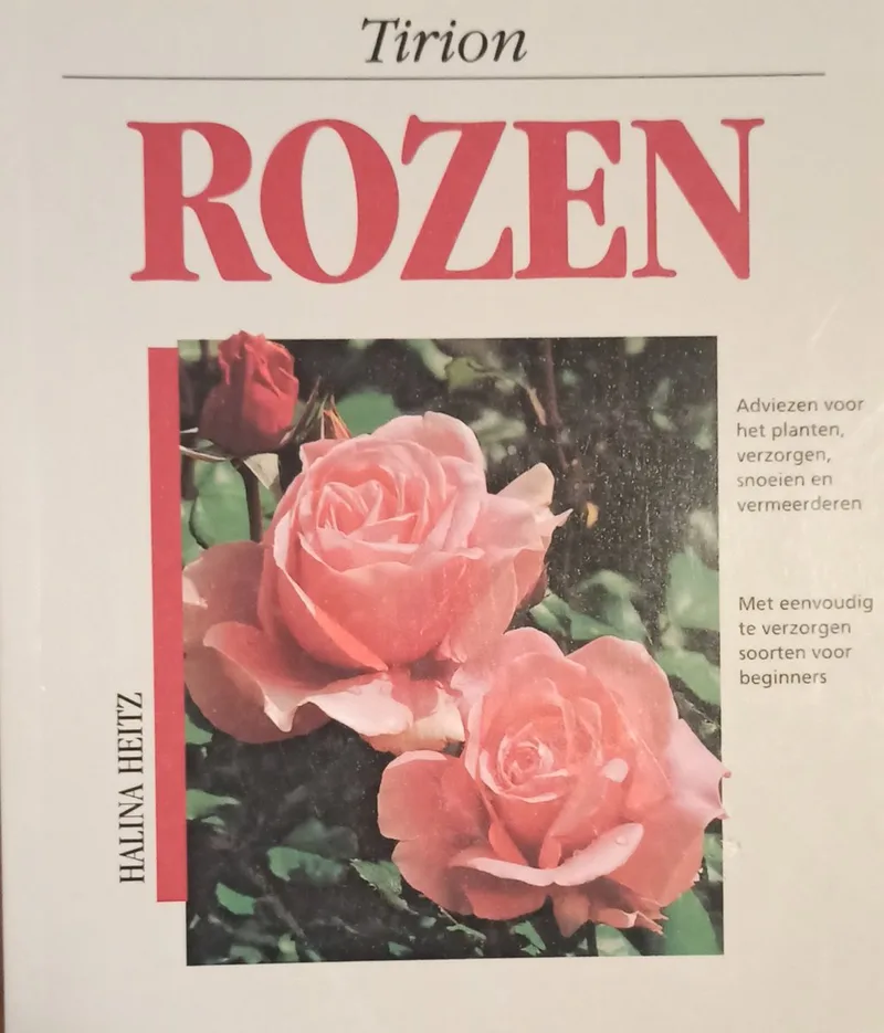 ROZEN fra VBK – billede af bogen