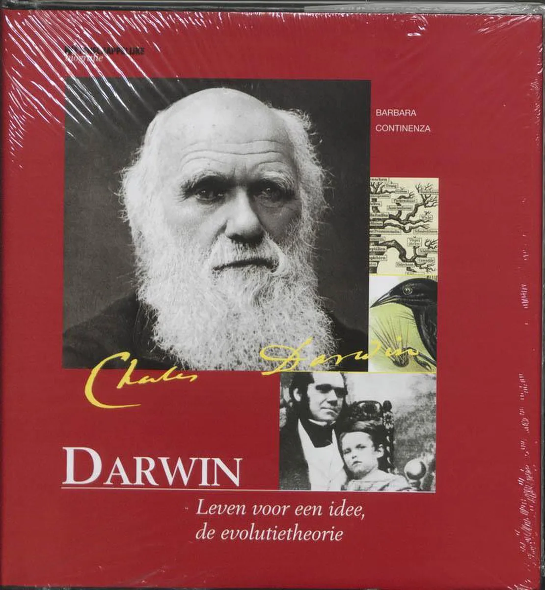 Darwin von Veen Media – Buchfoto