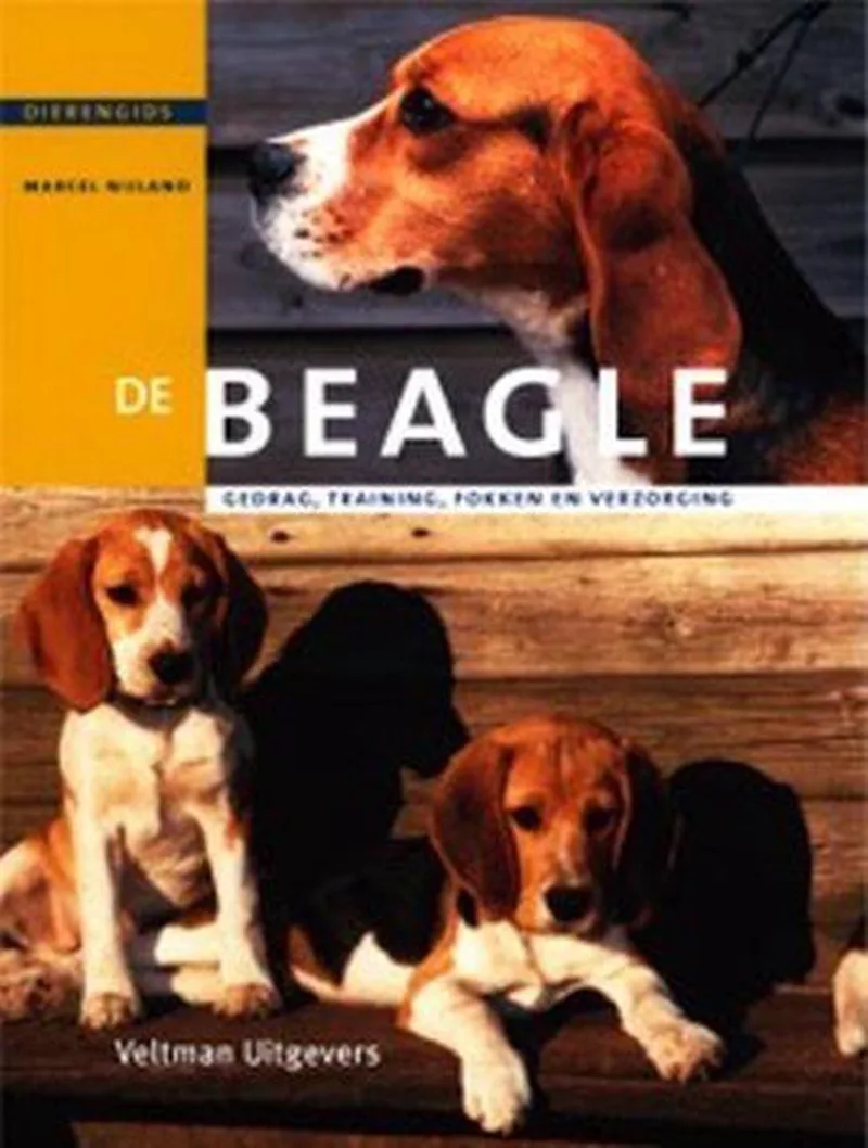 De Beagle de Veltman – photo du livre