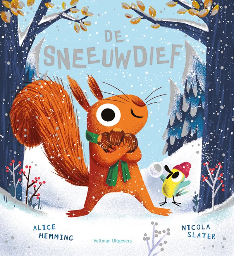 De sneeuwdief von Veltman – Buchfoto