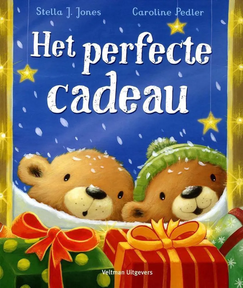Het perfecte cadeau de Veltman – photo du livre