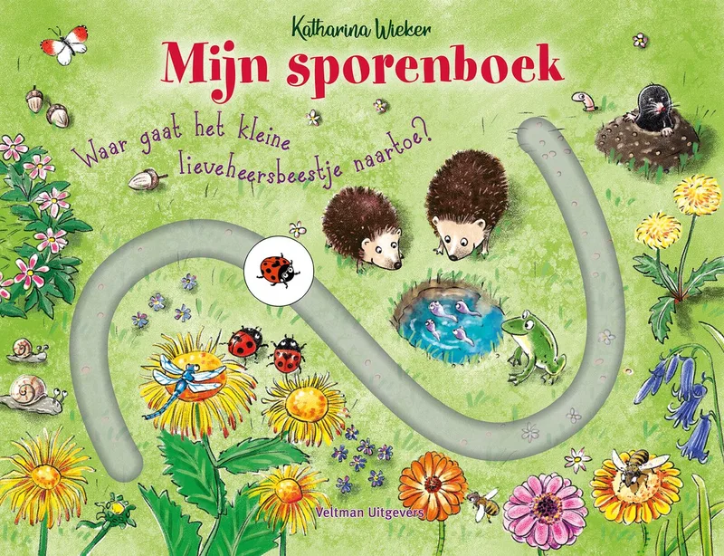 Mijn sporenboek von Veltman – Buchfoto