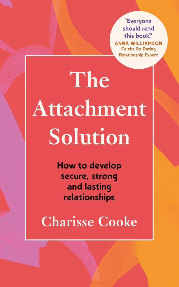 The Attachment Solution von Vermilion – Buchfoto