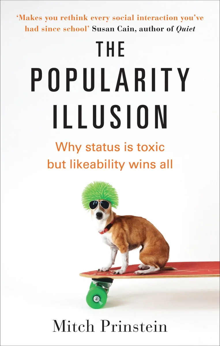 The Popularity Illusion von Vermilion – Buchfoto