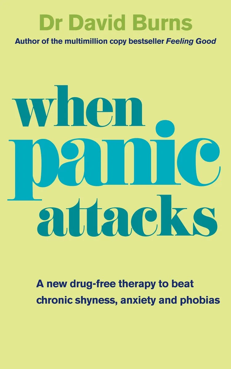 When Panic Attacks de Vermilion – photo du livre
