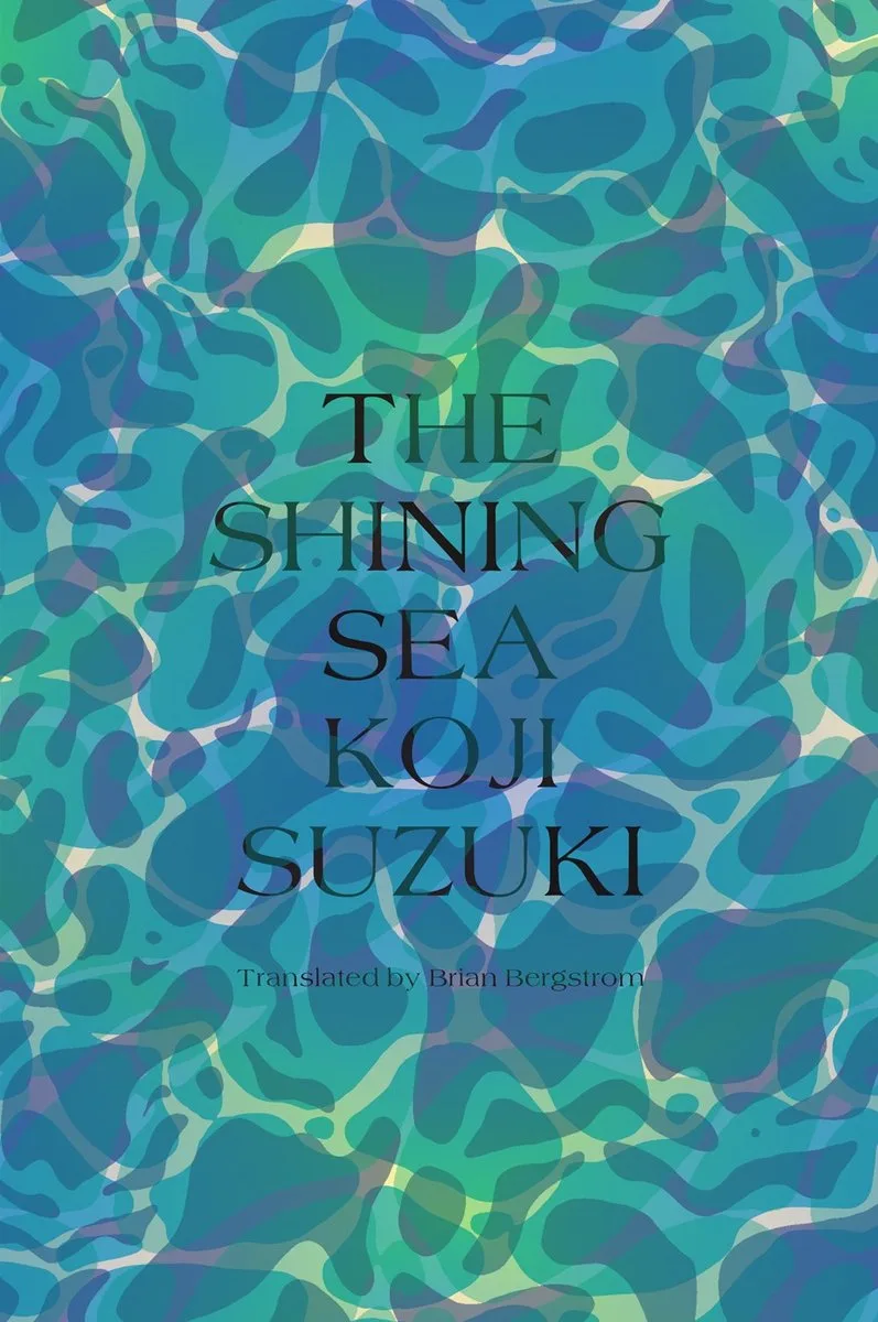 The Shining Sea von Vertical – Buchfoto