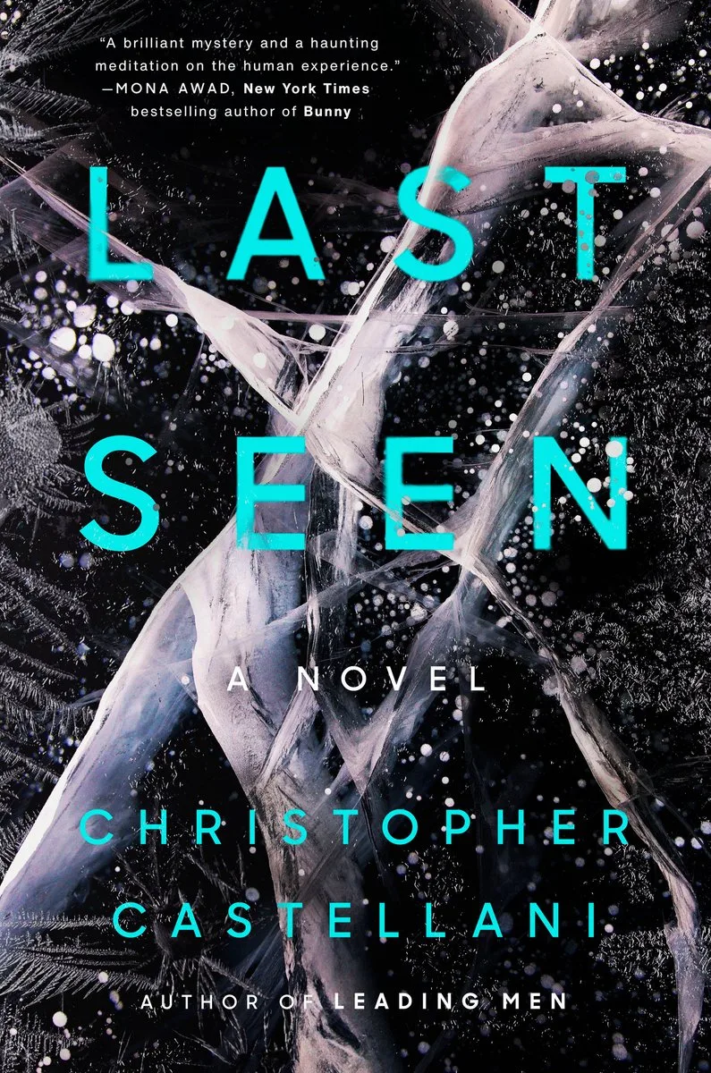 Last Seen von Viking – Buchfoto