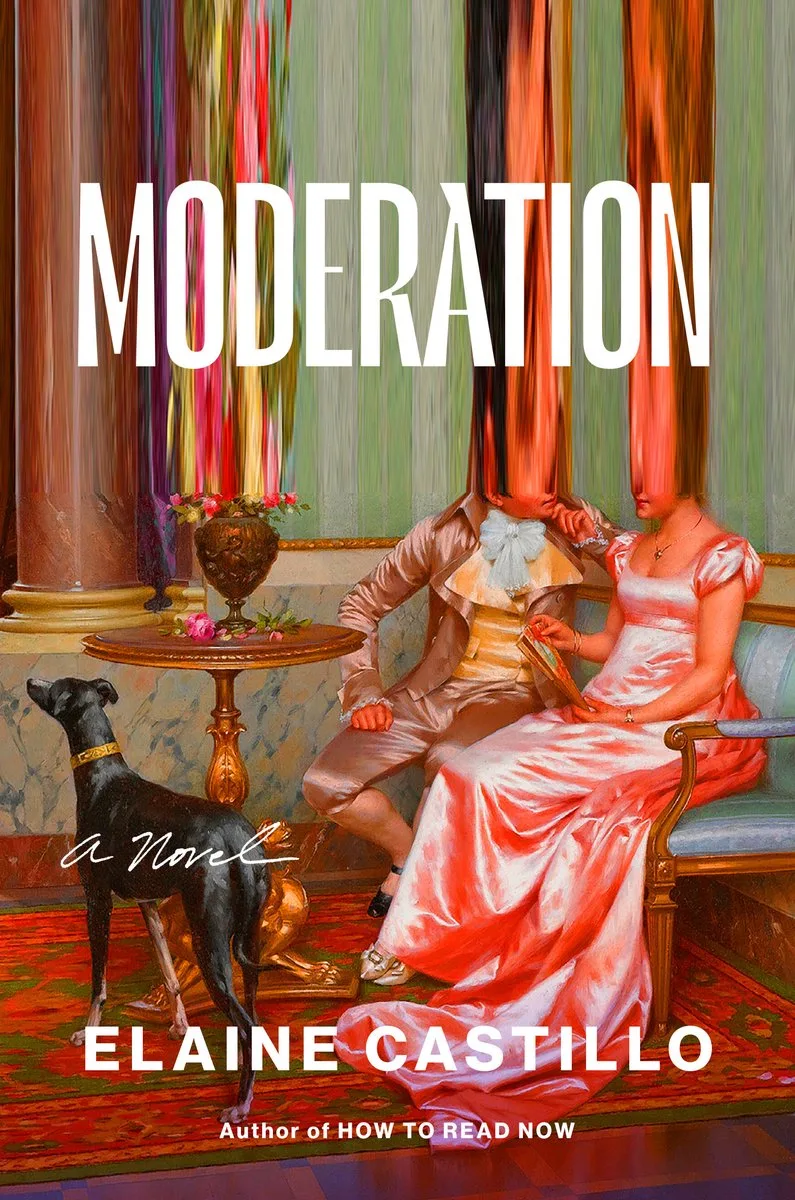 Moderation de Viking – photo du livre