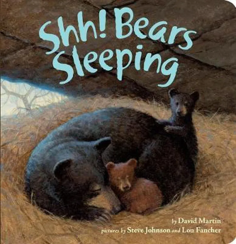 Shh! Bears Sleeping von Viking – Buchfoto
