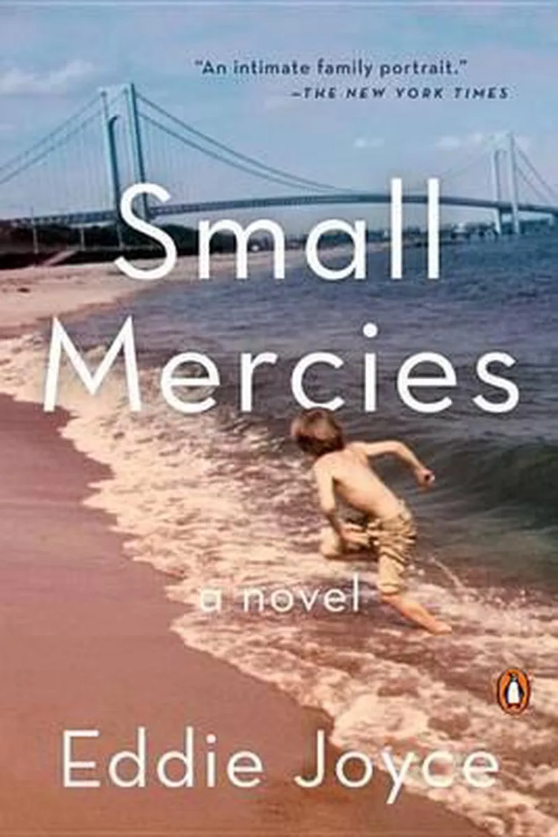 Small Mercies von Viking – Buchfoto
