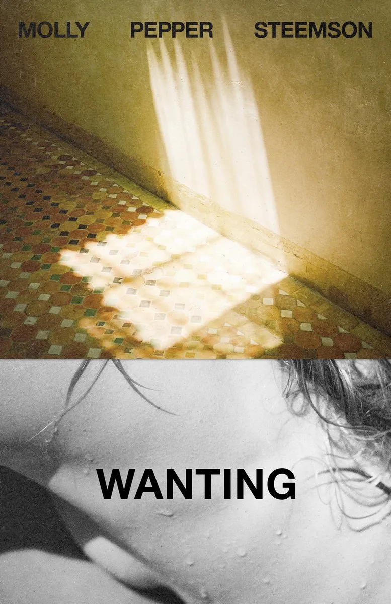 Wanting de Viking – photo du livre