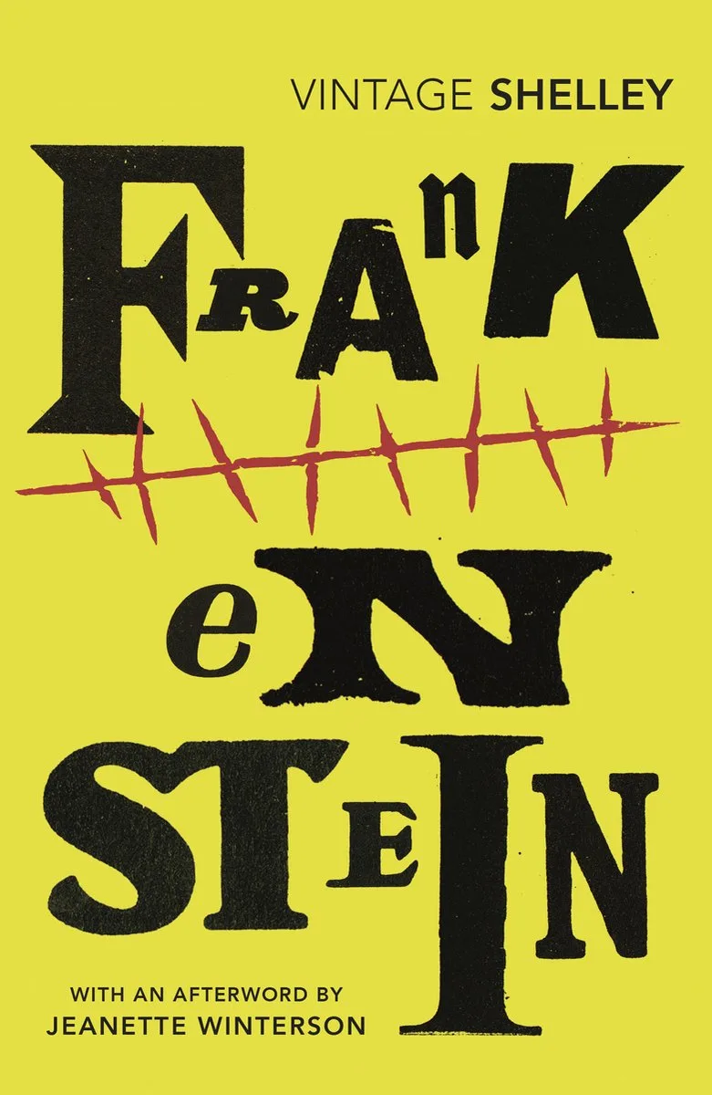 Frankenstein de Vintage Classics – photo du livre
