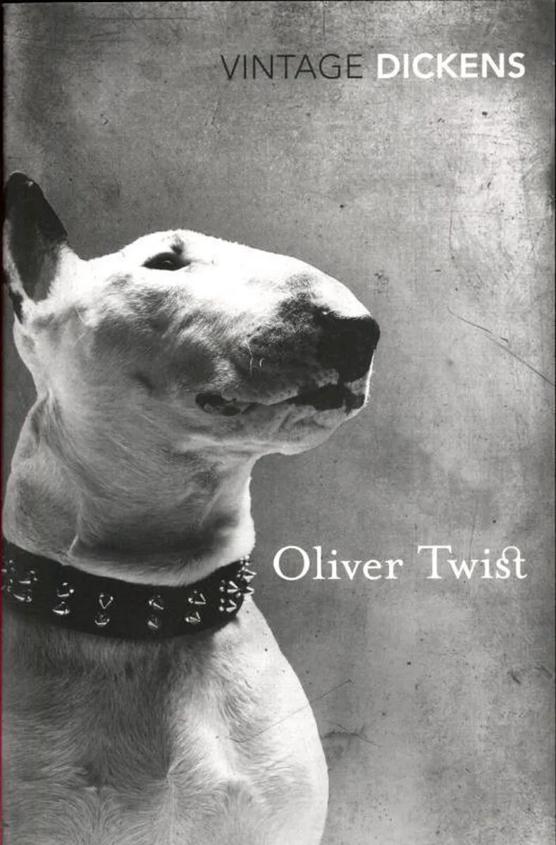 Oliver Twist de Vintage Classics – photo du livre