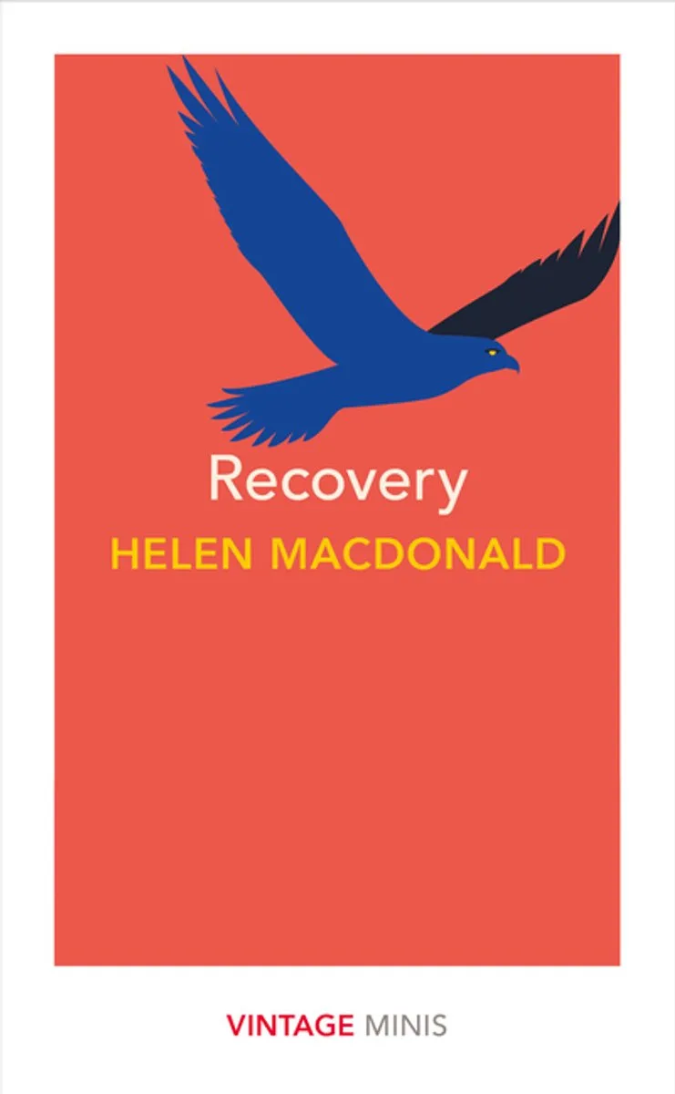 Recovery by Vintage Classics – book photo
