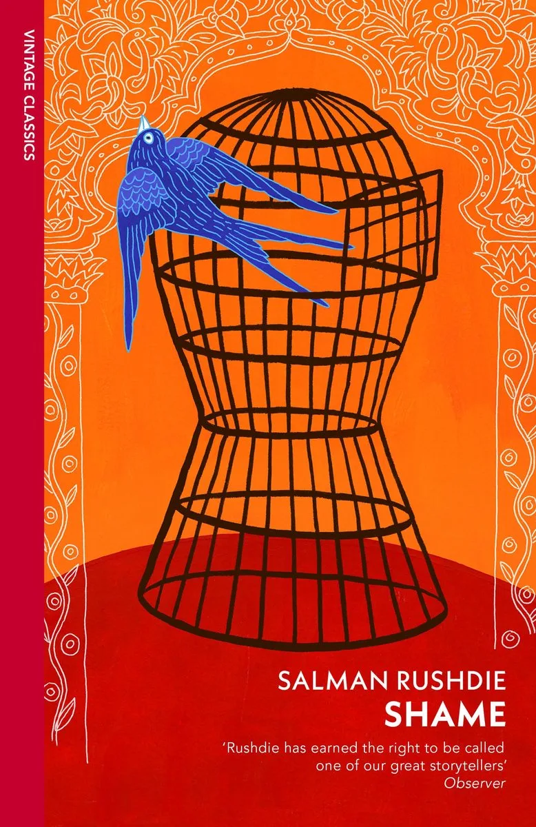 Shame de Vintage Classics – photo du livre
