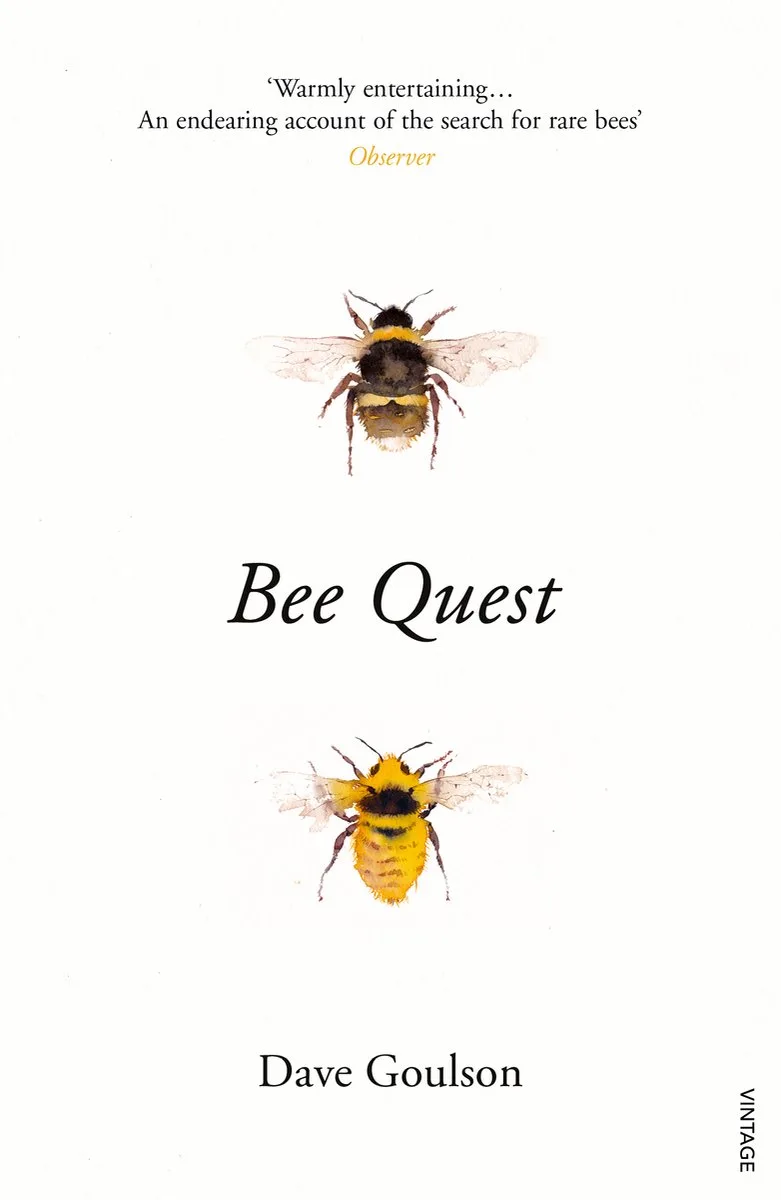 Bee Quest van Vintage – boekfoto
