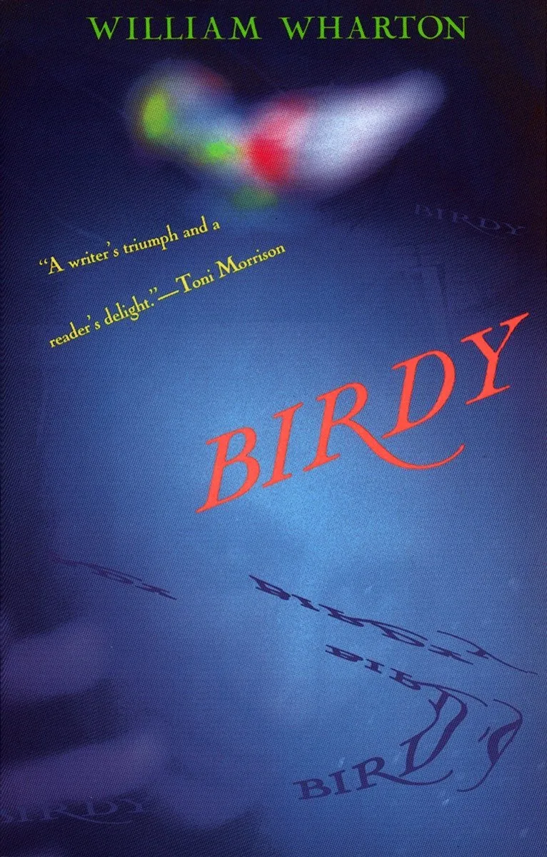 Birdy by Vintage – book photo