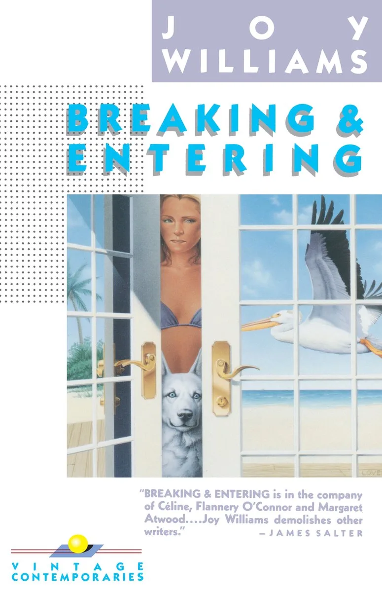 Breaking and Entering by Vintage – book photo