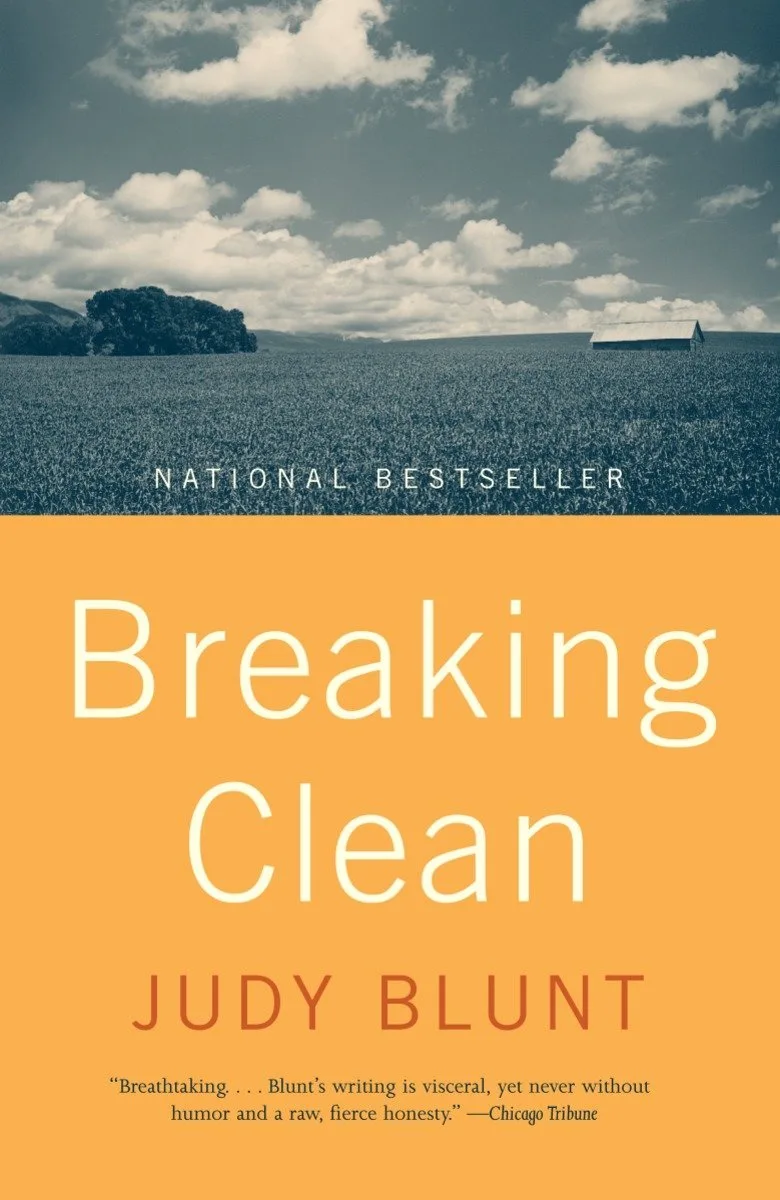 Breaking Clean van Vintage – boekfoto