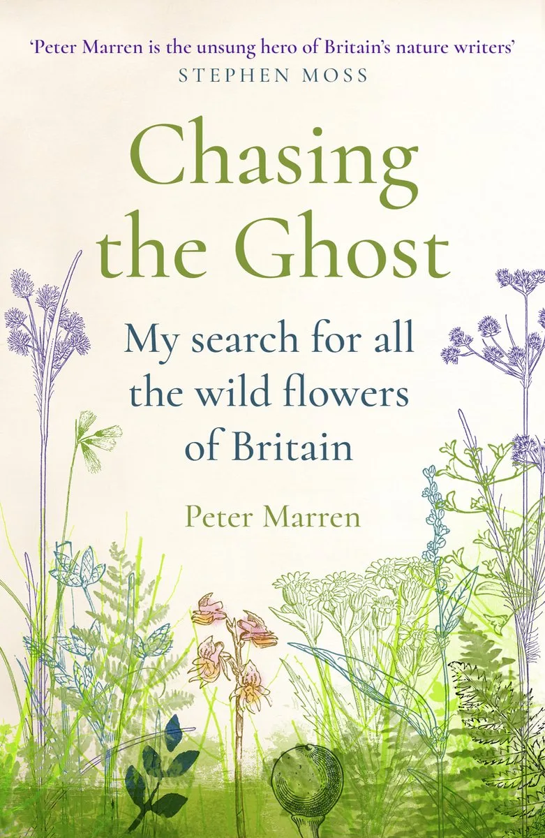 Chasing the Ghost by Vintage – book photo