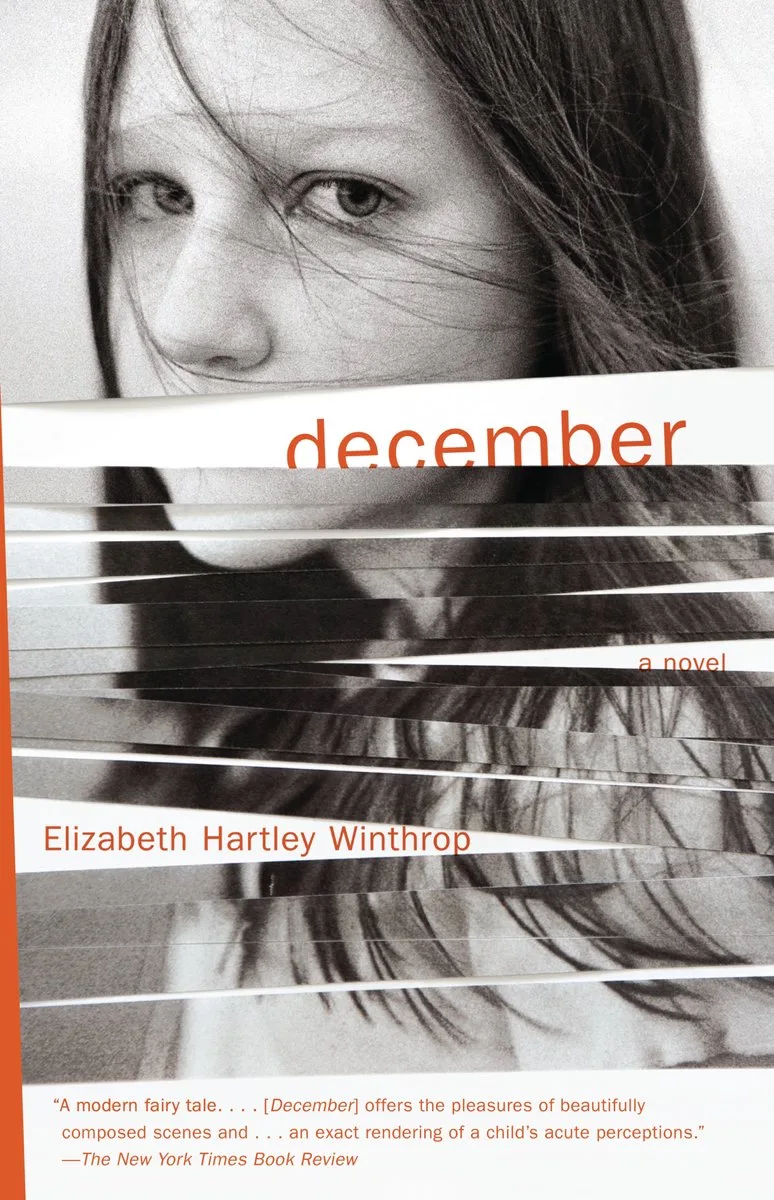 December de Vintage – photo du livre