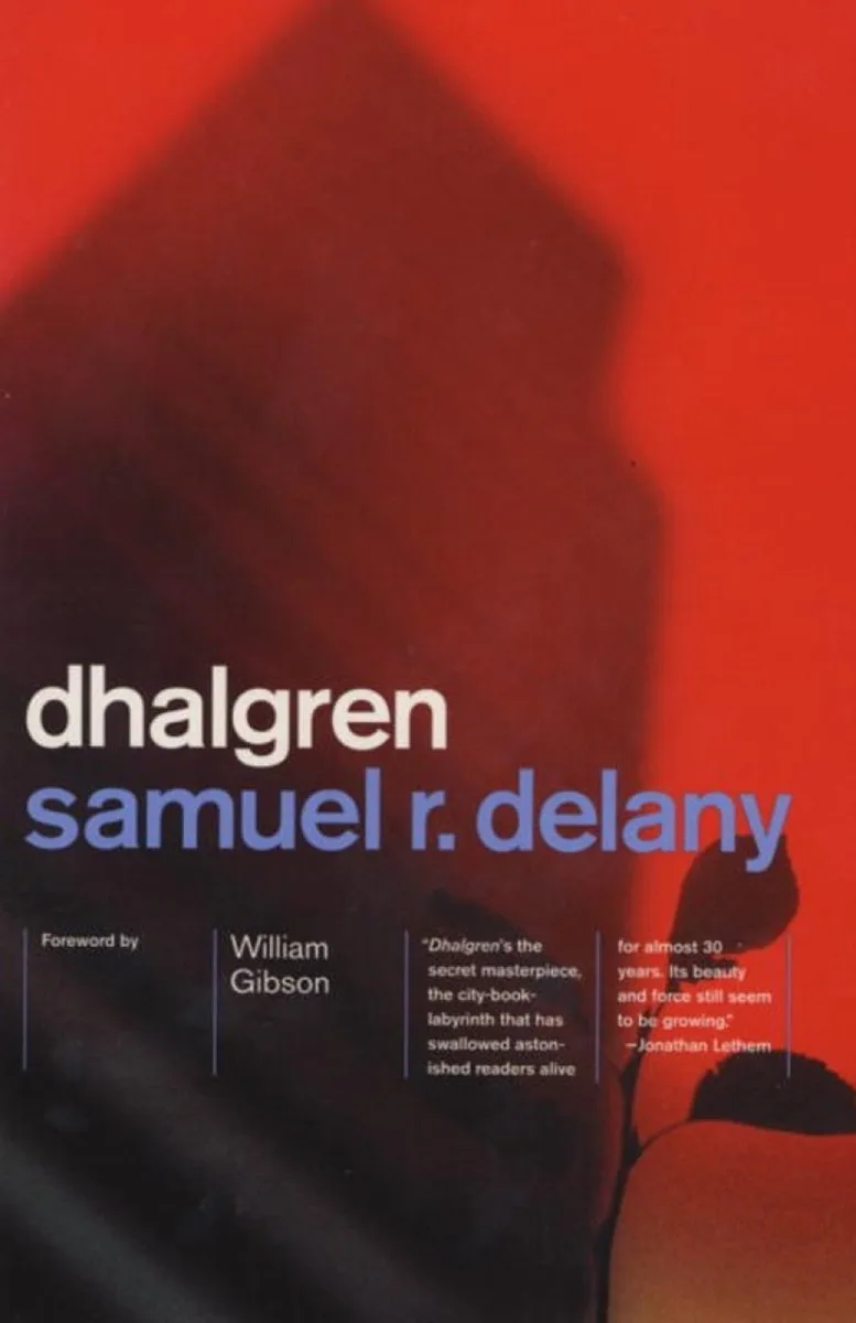 Dhalgren van Vintage – boekfoto
