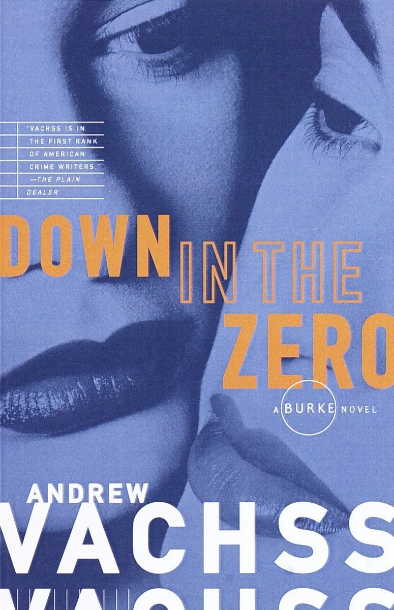 Down in the Zero van Vintage – boekfoto