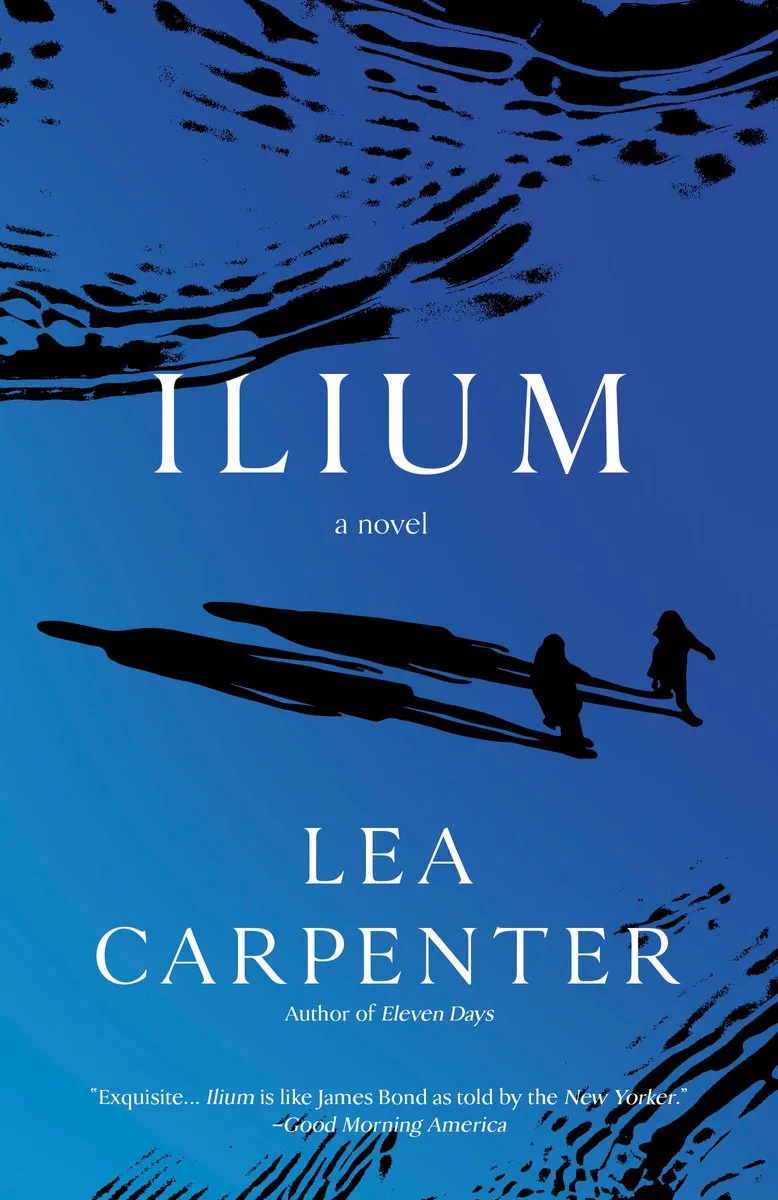 Ilium de Vintage – photo du livre