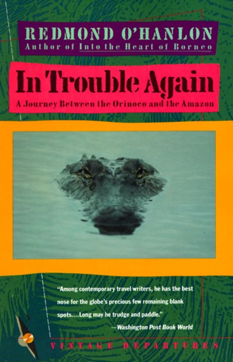 In Trouble Again by Vintage – book photo