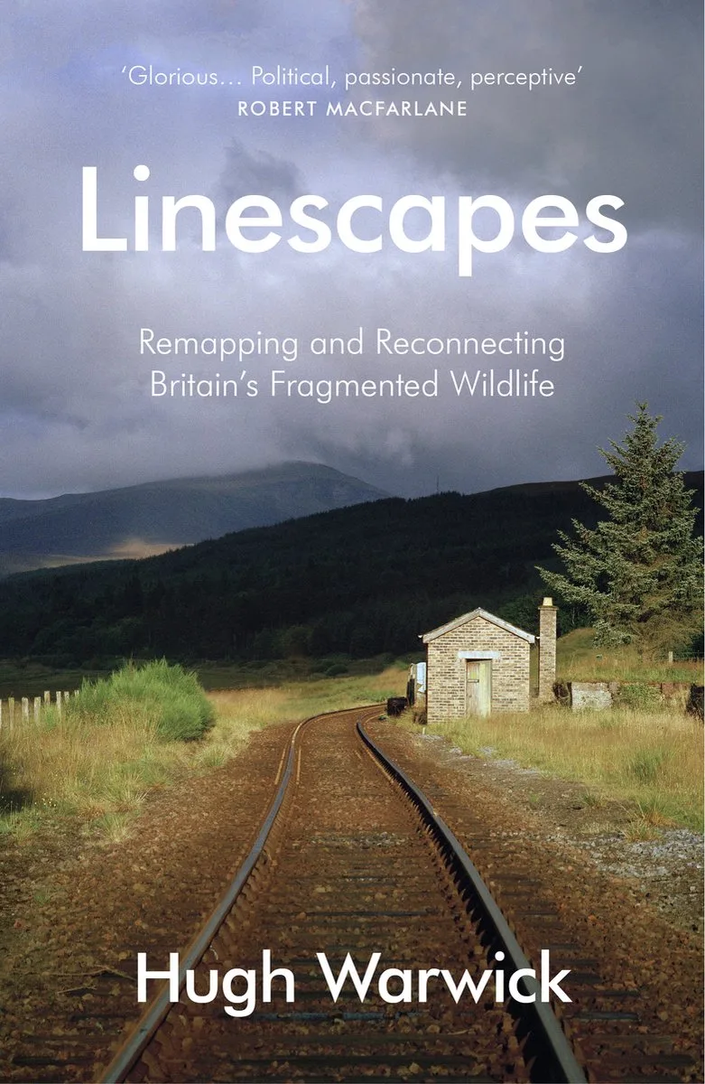 Linescapes van Vintage – boekfoto