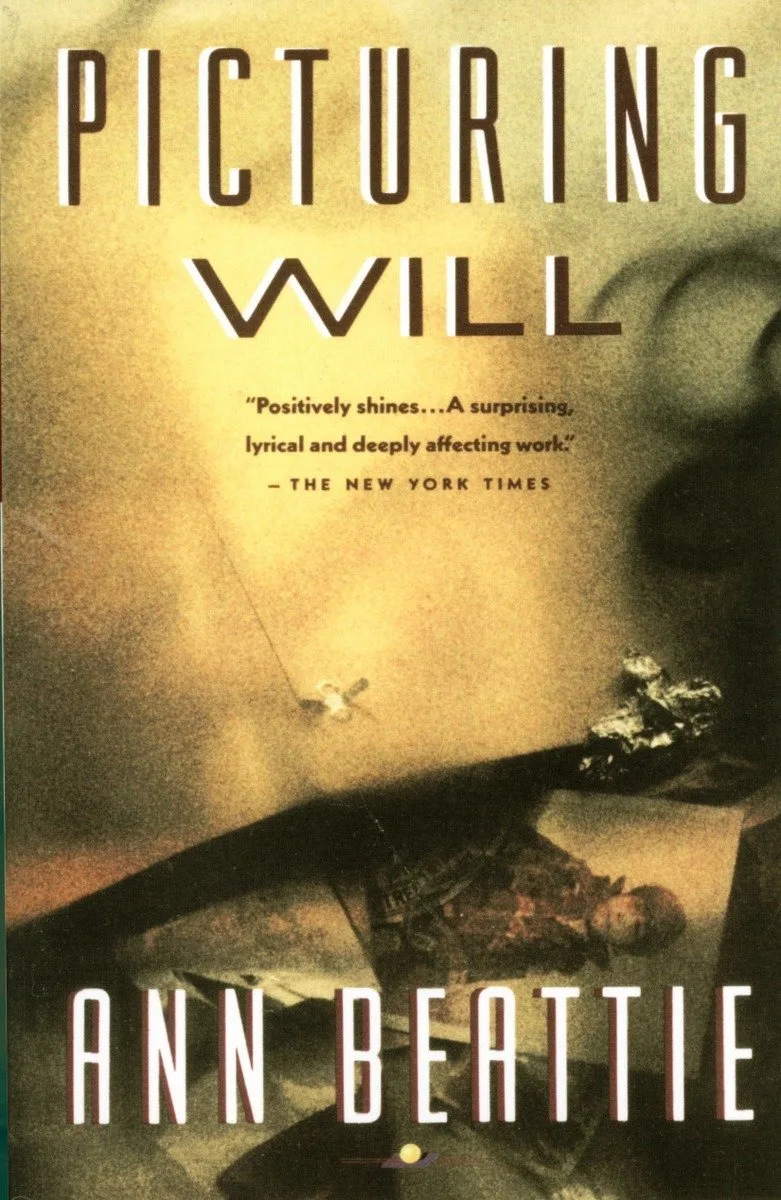 Picturing Will by Vintage – book photo