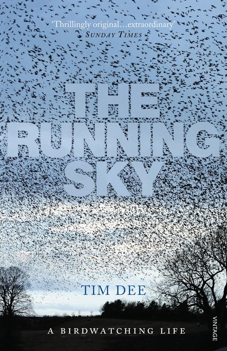 Running Sky by Vintage – book photo