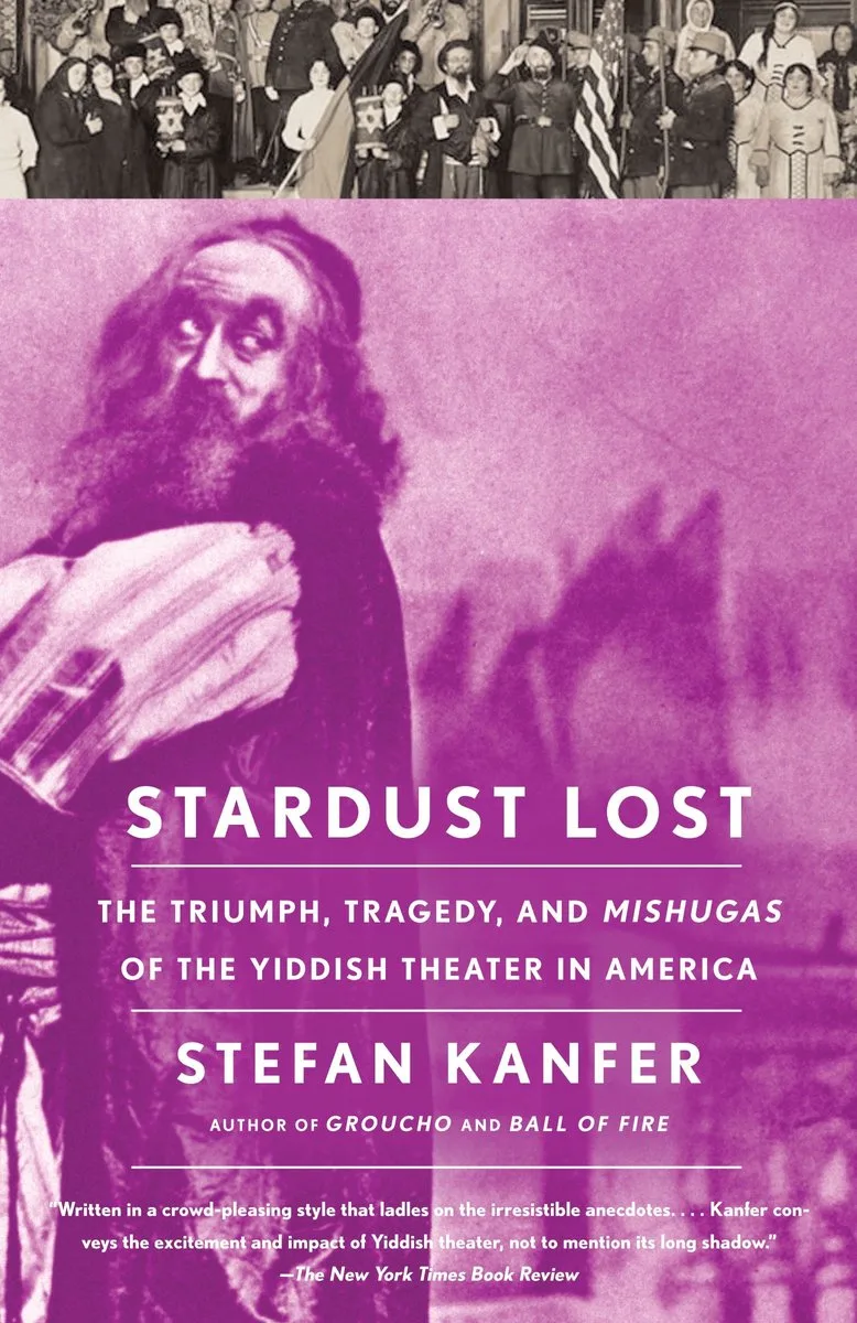 Stardust Lost de Vintage – photo du livre