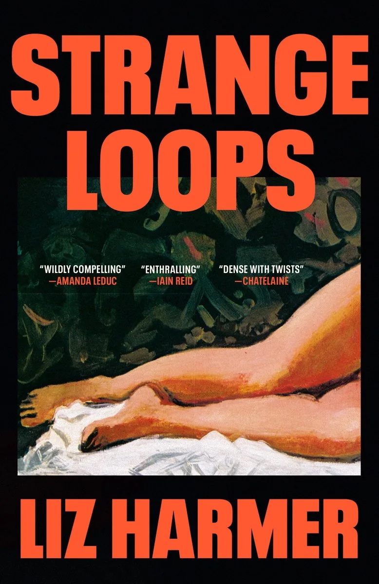 Strange Loops de Vintage – photo du livre