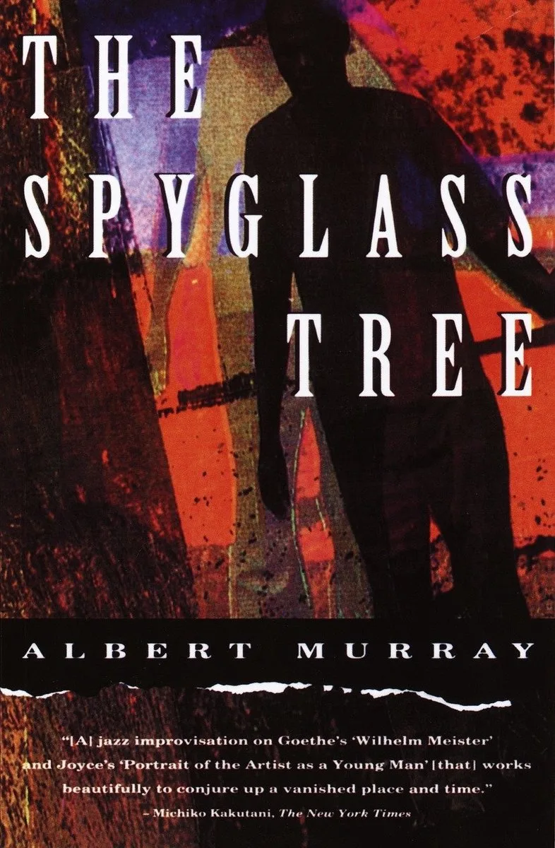 The Spyglass Tree de Vintage – photo du livre