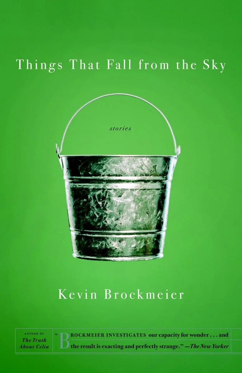 Things That Fall from the Sky de Vintage – photo du livre