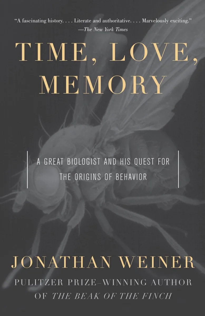 Time, Love, Memory van Vintage – boekfoto