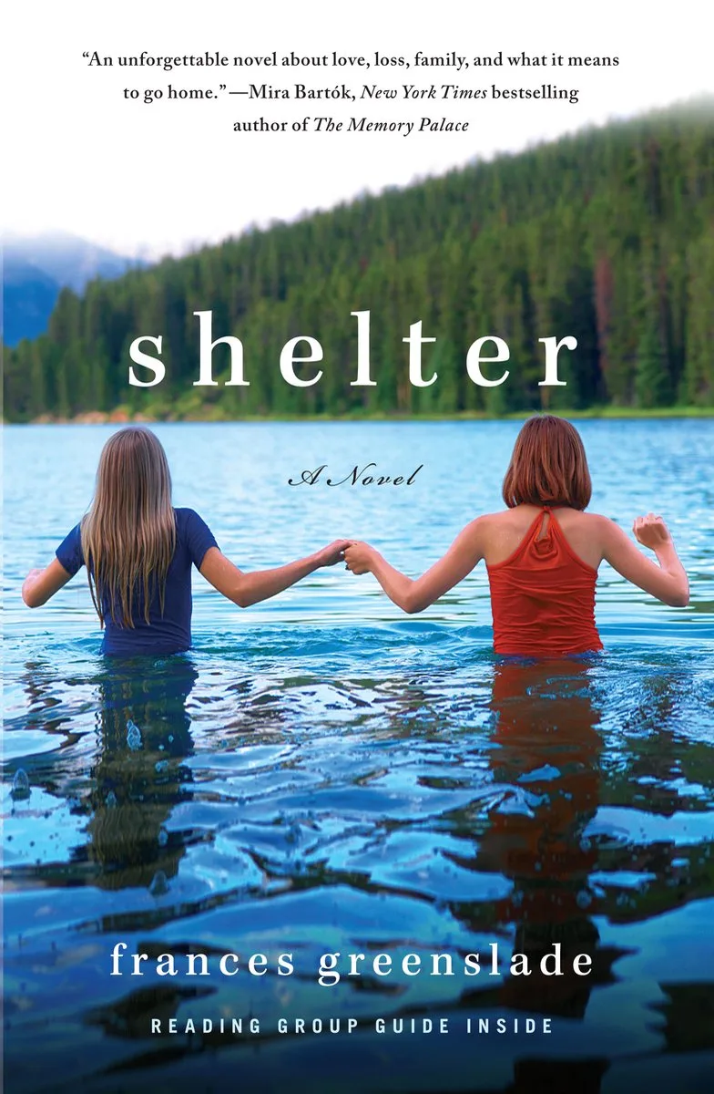 Shelter fra Virago – billede af bogen