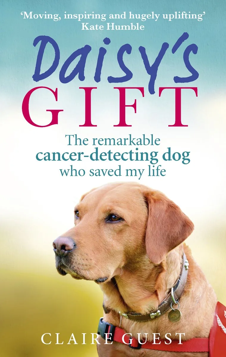 Daisys Gift von Virgin Books – Buchfoto