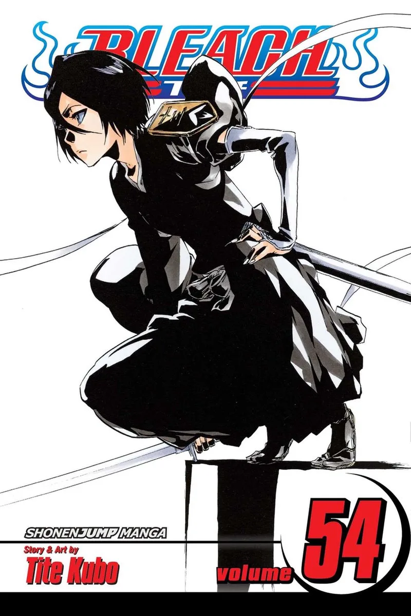 Bleach 54 von Viz Media – Buchfoto