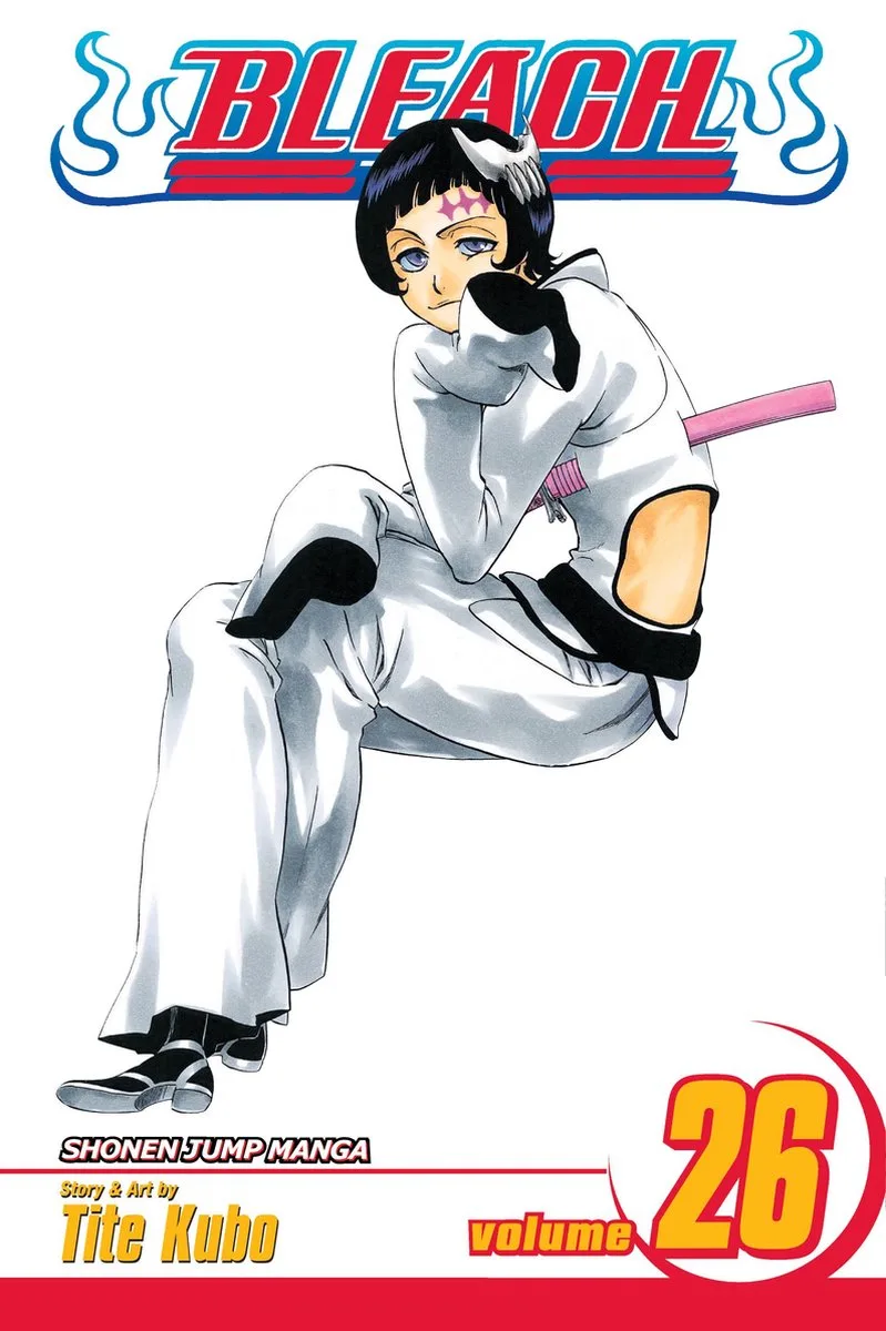Bleach fra Viz Media – billede af bogen